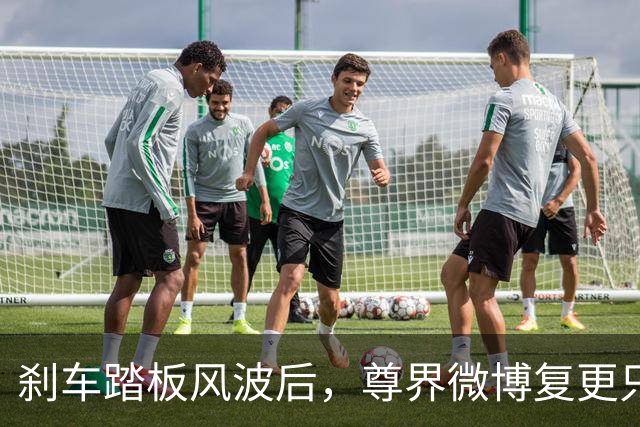 刹车踏板风波后，尊界微博复更只发了组图
