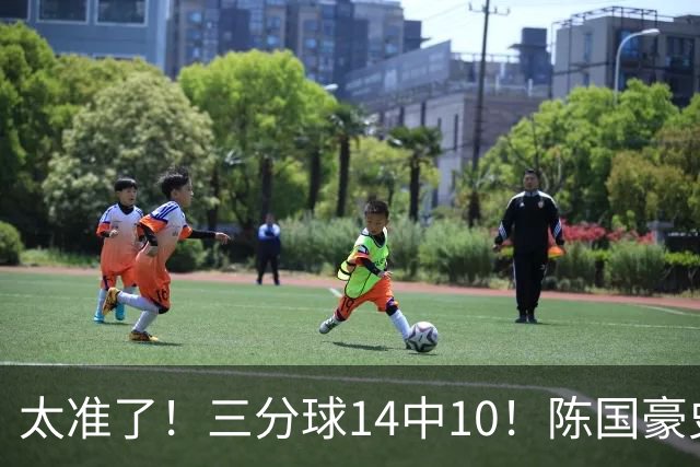 太准了！三分球14中10！陈国豪史诗级进化