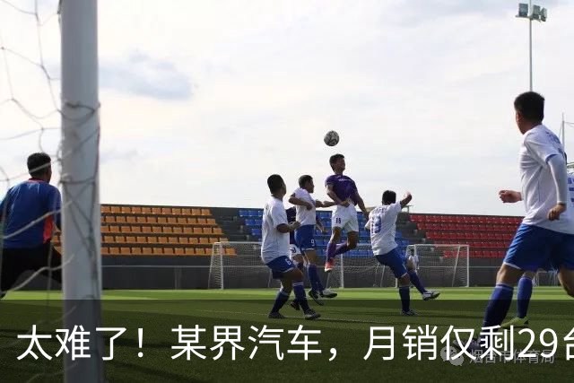 太难了！某界汽车，月销仅剩29台