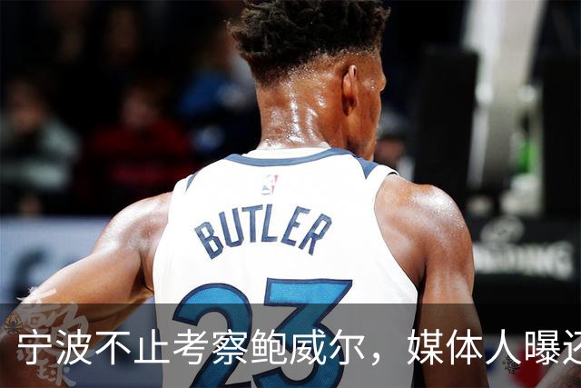 宁波不止考察鲍威尔，媒体人曝还在考察广厦旧将沃顿