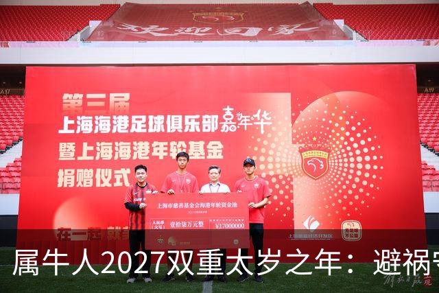 属牛人2027双重太岁之年：避祸守福，实用完整指南