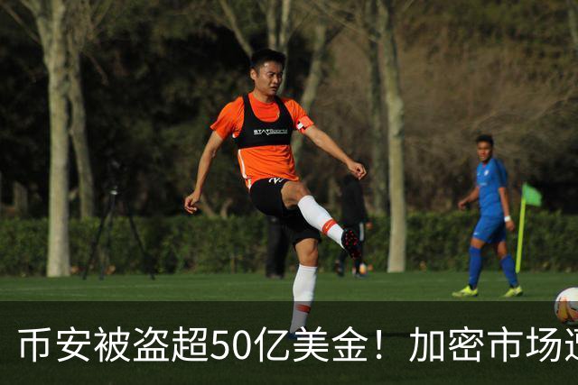 币安被盗超50亿美金！加密市场遭遇血光之灾...