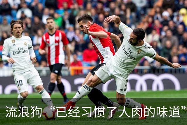 流浪狗“已经习惯了人肉的味道”
