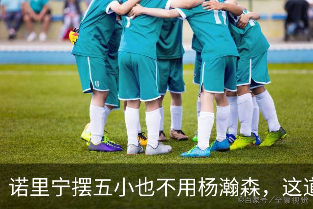 诺里宁摆五小也不用杨瀚森，这道用人门槛为何跨不过？