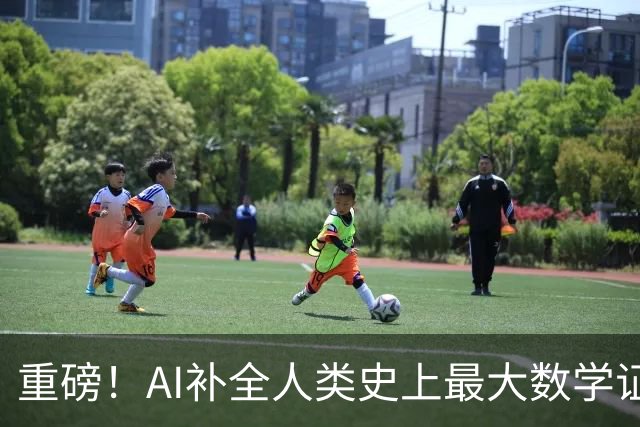 重磅！AI补全人类史上最大数学证明，数学家当场泪崩