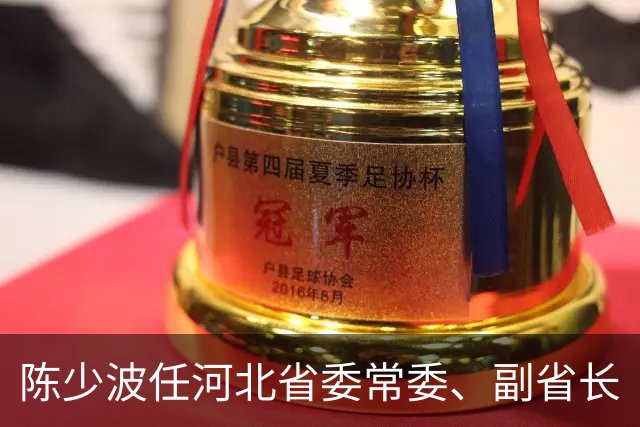 陈少波任河北省委常委、副省长