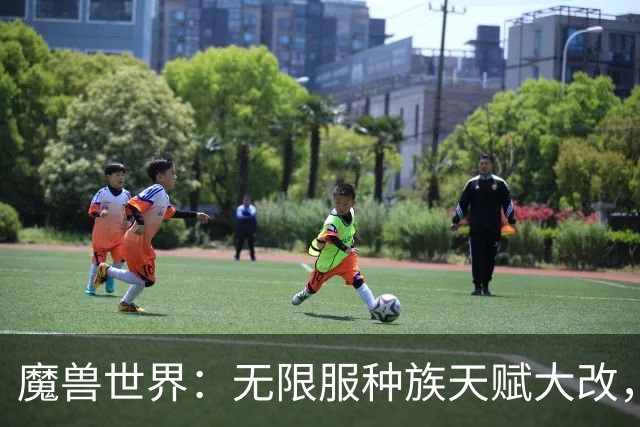 魔兽世界：无限服种族天赋大改，全职业最新种族排名，天裔告别无脑首选